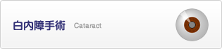白内障手術